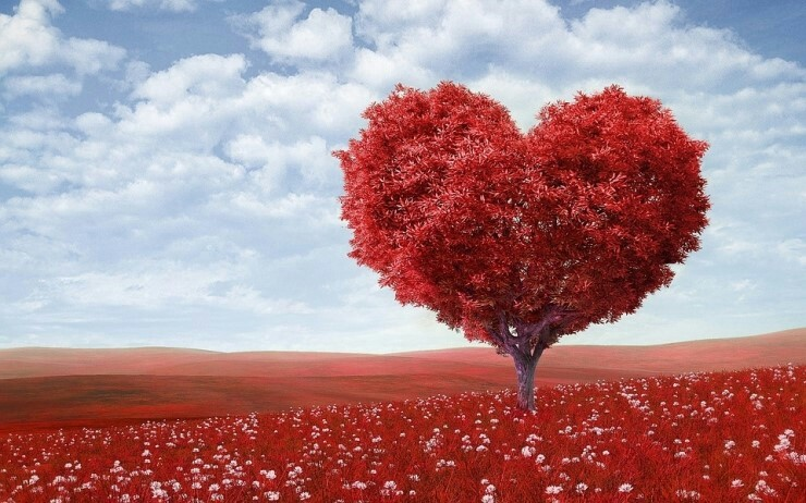 Heart Tree.png
