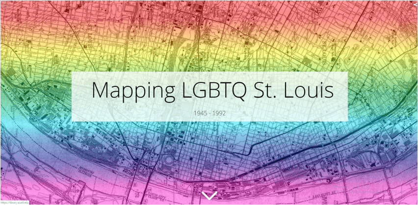 MAPPING LGBTQ.png